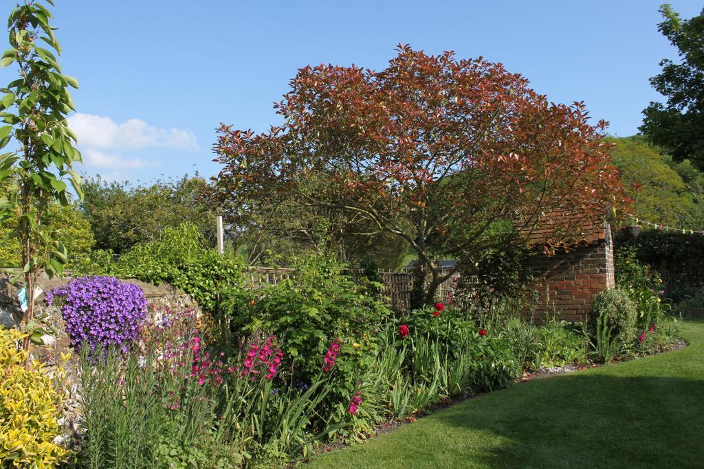 B&B South Downs Way Poynings Exteriör bild
